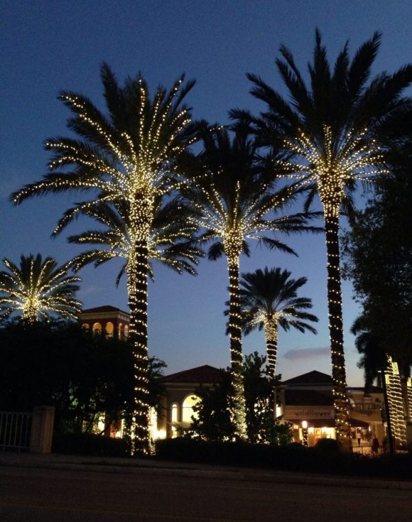 PalmTreesChristmas1 PalmTreesChristmas1