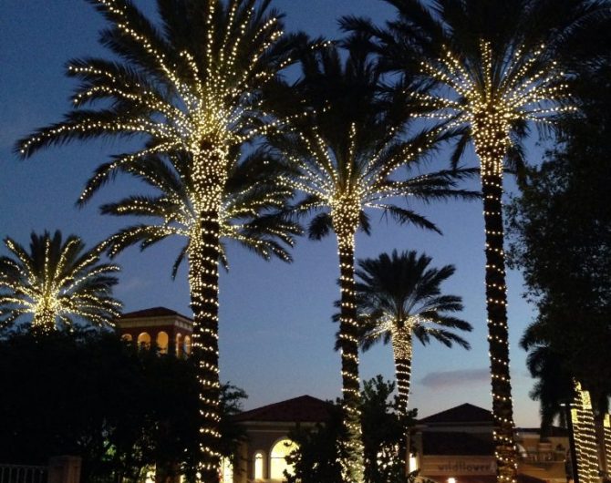 PalmTreesChristmas1 PalmTreesChristmas1