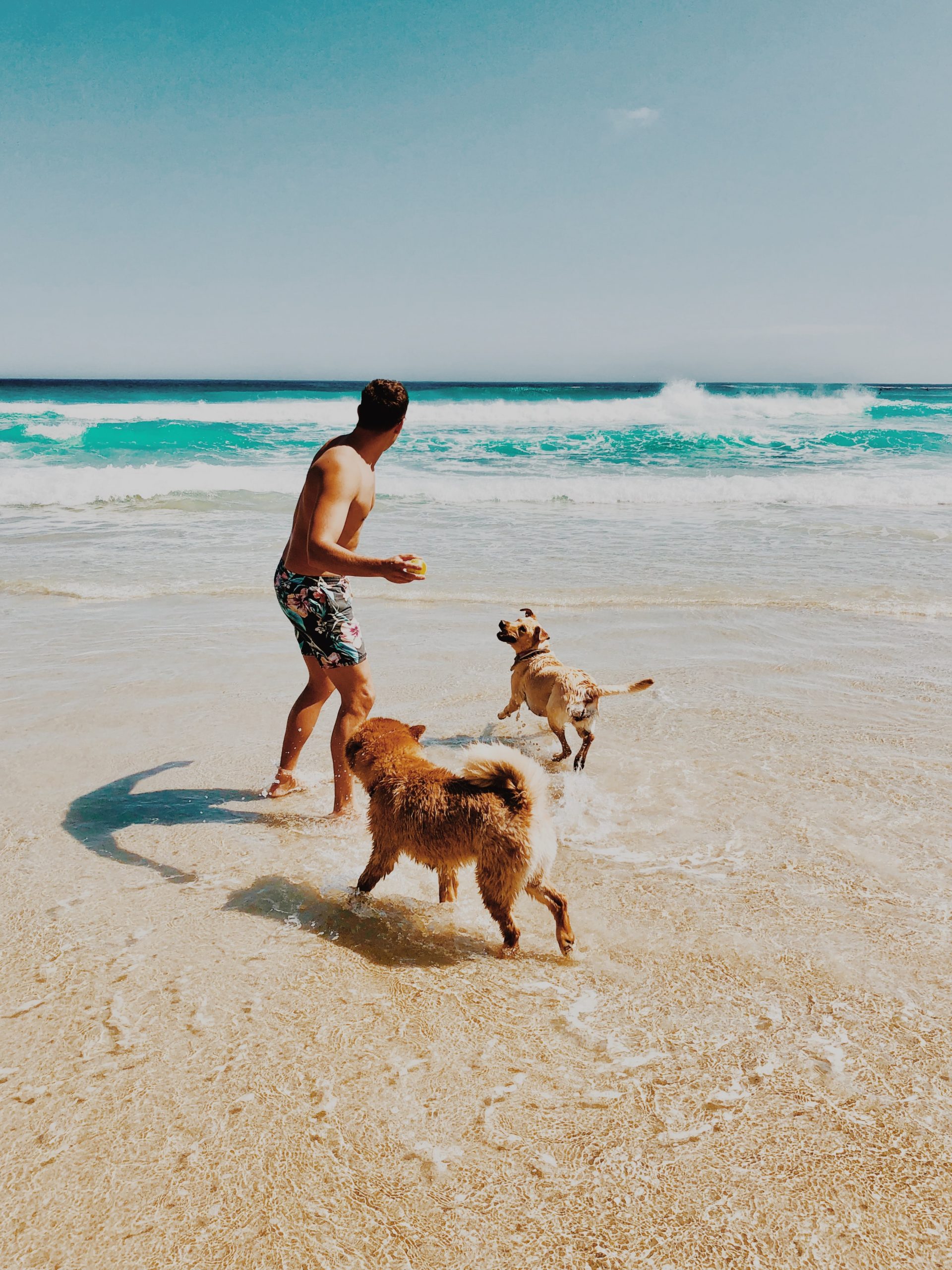 ian-badenhorst-sFT488ydkm0-unsplash ian-badenhorst-sFT488ydkm0-unsplash